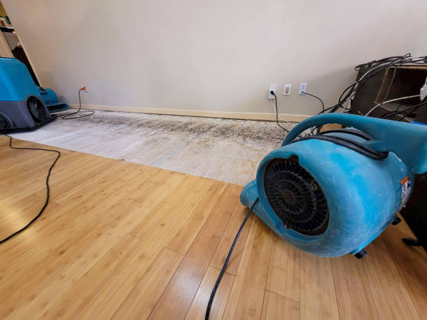 Professional Water Damage Repair technician working in Beaver, IA